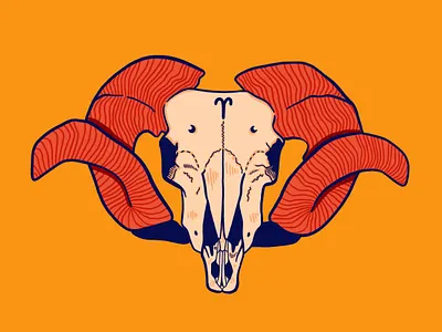 Aries aries astrology design digital art illustration ipad pro skull zodiac
