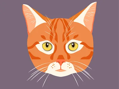 Red Cat Illustration cat cat drawing cat illustration graphic design illustration orange red vector