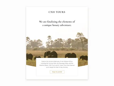 Okavango Tour ad agency banner branding clean email information architecture interface design landing luxury luxury branding luxury design minimalist newsletter photography simple travel ui web website
