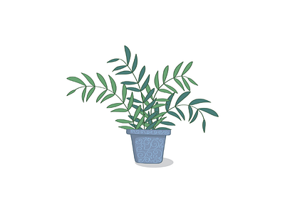 House plant