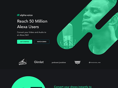AlphaVoice Landing Page alpha video