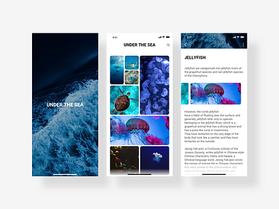 Under the sea💙 adobe art creative design illust illustration ios ios 10 ios11 ios12 market photoshop sketch store ui uidesign uiux ux uxdesign