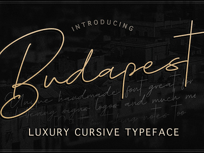 Budapest ScriptFont blogging font branding cosmetic packaging cursive cursive font feminine font font awesome font design handlettered handwritten font invitation font lettering logo design logo font lovely font luxury font modern font script font signature font wedding font