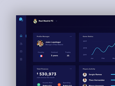 Soccer Information Dashboard branding dashboard design typography ui ux