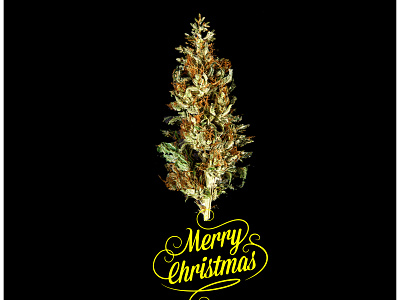 🌲Merry Christmas🎄 🌲merry christmas🎄