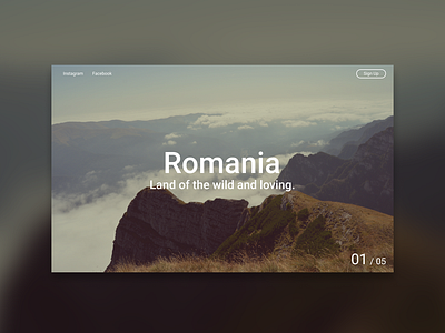 Romania UI app art brand design illustration illustrator lettering minimal type typography ui ux vector web website