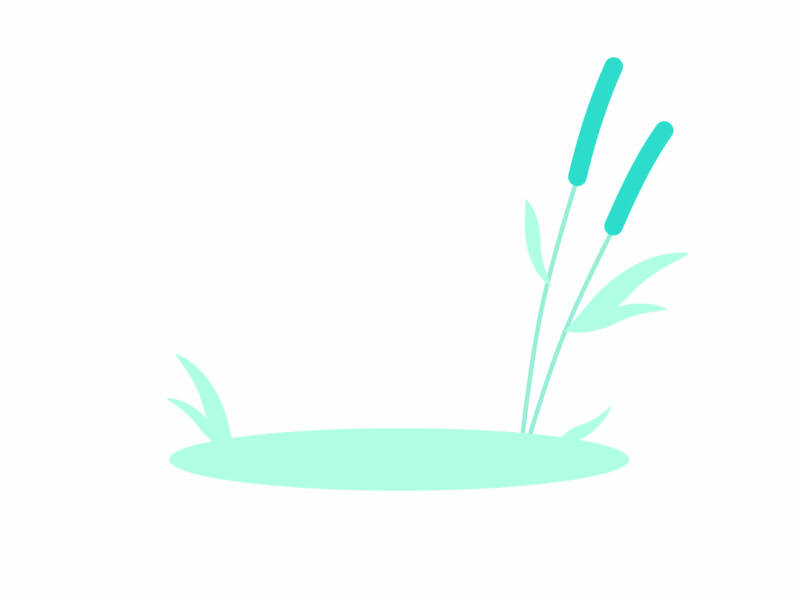 Croco Sarcasm 2d adobe ae after effects aftereffects animation character design flat illustration simple vector