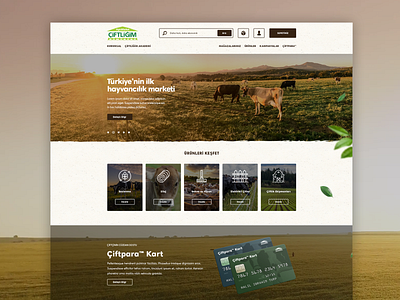 Ciftligim Corporate E-Commerce Web Site branding ecommerce farm farm animals sketch app ui ui ux design user experience web website