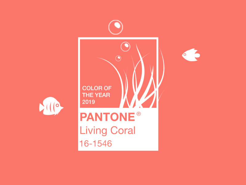 Example of 2019 Pantone Color of the Year: Living Coral