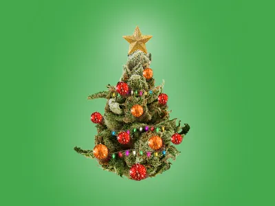 Merry Christmas bud christmas tree holiday holiday design lights merry christmas ornaments star strain tree