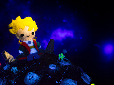 The little prince by Quchi art direction handicrafts photoshoot photoshop production toy design