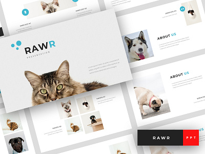 Rawr - Pet Service PowerPoint Template agency business company marketing modern pet business pet care pet presentation pet service pet shop powerpoint powerpoint template presentation