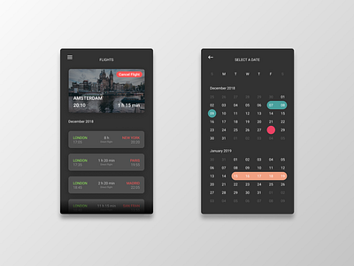 Mobile Flights UI app art brand branding design flat icon icons illustration illustrator lettering logo minimal type typography ui ux vector web website