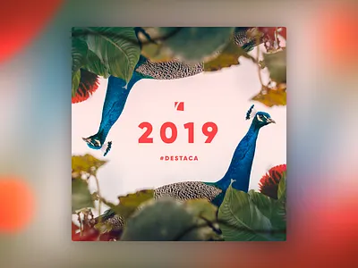 2019 Destaca - 2 2019 brand instagram living coral logo new year peacock ziete