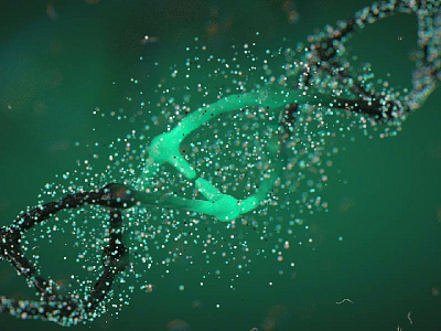 DNA Model cinema 4d creative maxon motion graphics