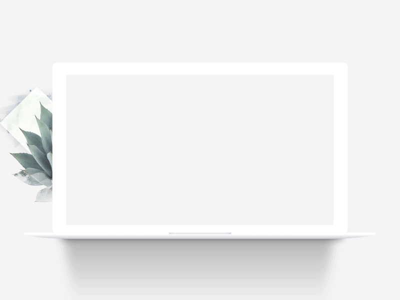 Twin Dolphin animation resort travel ui ux web website