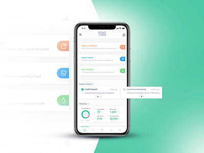 TBS Factoring app charts figma iphonex money ui ux