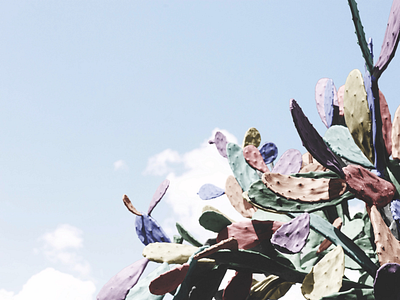 Color theory color graphic design lbgt photography