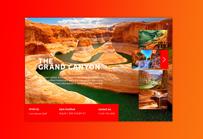 Travel Website design app colors design flat landing page nature ui ux web website