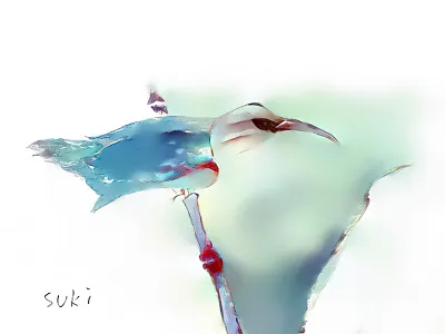 Kingfisher bird