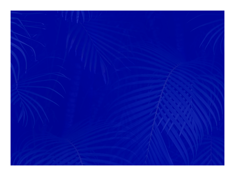 M. Tree blue brand branding creation logo studio yobko