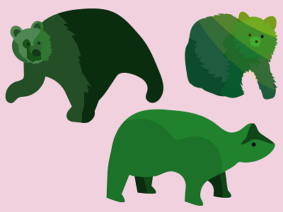 bear sampler illustration vector