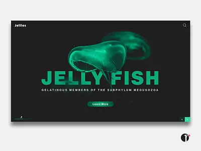 Jelly Fish Landing page blanding option dark green design graphic design green landing page landing page design photoshop user interface web design website