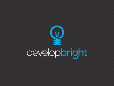 Developbright Logo flat icon light lightbulb logo simple