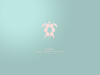 Baina Logo adobe illustrator branding cosmetics design icon illustration logo vector