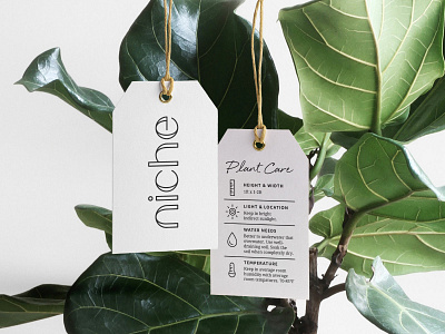 niche Hangtag braizen branding hangtag logo design plants