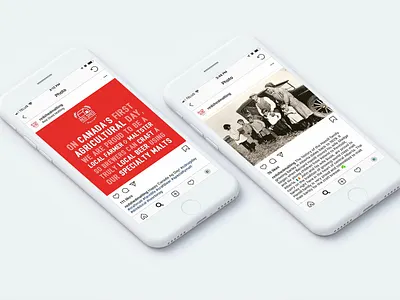 Redshed Social Media instagram social media design social media graphics