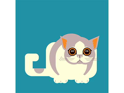 Curiosity Cat after effects animal animation cat concept content cute design illustration illustrator instagram social content social media vector