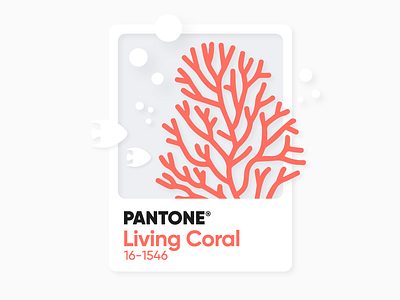 // Living Coral // color living coral pantone