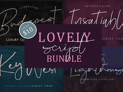 Lovely Script Bundle blogging font bundle cursive design font font bundle font design font sale handwritten font illustration logo font logo fonts script bundle script font