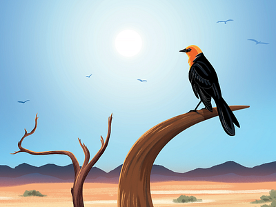 Crop from the Death Valley Spread picturebook