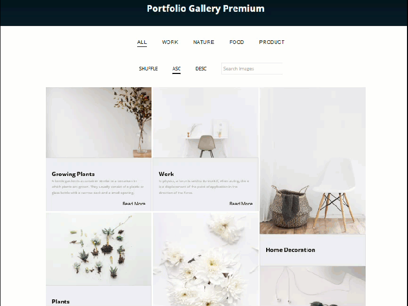 Portfolio Filter Gallery Plugin for WordPress Website or Blog blog masonry design portfolio filter gallery portfolio filter plugin wordpress plugin wordpress portfolio filter