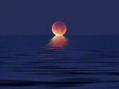 When the moon kisses the ocean animation branding branding design icon illustration kiss kisskissbankbank landing page design logo moon ocean ocean life oceans photoshop typography ui ux vector web deisgn wordpress