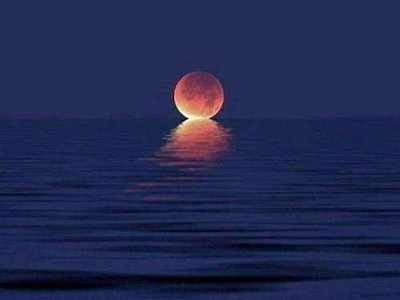 When the moon kisses the ocean animation branding branding design icon illustration kiss kisskissbankbank landing page design logo moon ocean ocean life oceans photoshop typography ui ux vector web deisgn wordpress