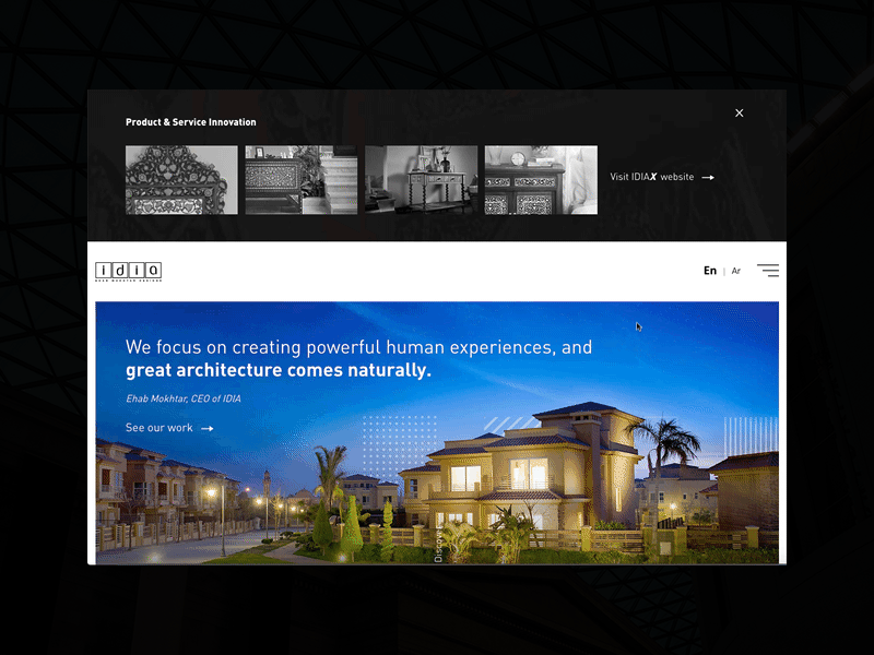 IDIA - Website animation design ui ux web web design website