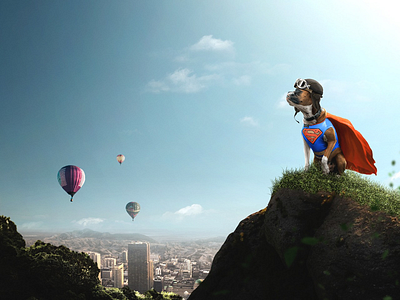 Hero digital imaging dog graphic design hero manipulation pet photoshop