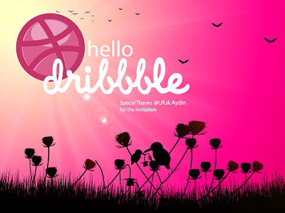 Hello Dribbble! bird debut first shot hello dribble illustration vector