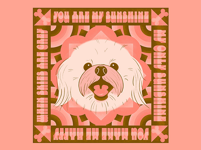 Atals bichon dog