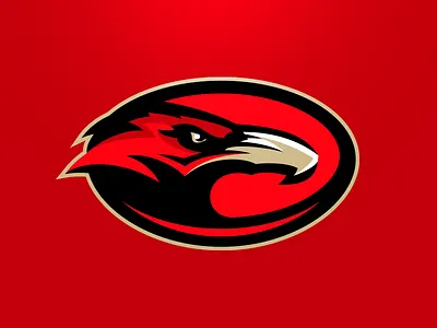 Baltimore Vultures Secondary animal baltimore bird brand branding design football illustration logo mascot matt doyle matthew doyle sport sport logo sports team vector vultures