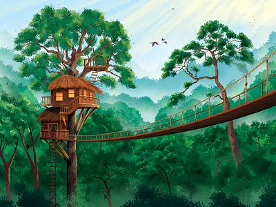 Rainforest picturebook