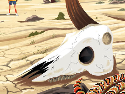 Death Valley picturebook
