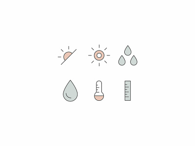 Plant Care Icons braizen branding icons illustration plants