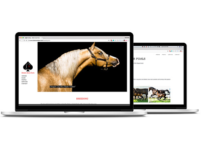 Stolen Aces Farm Website branding design logo photography typography ui vector web