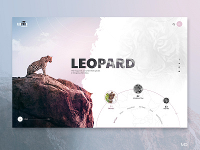 Leopard World design flat graphic icon leopard logo minimal typography ui web webdesign website