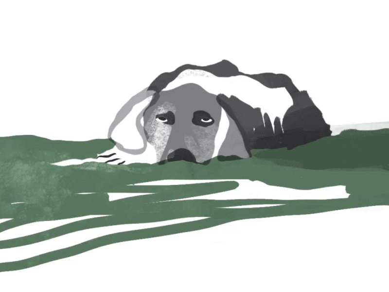 One tired pup 2d animation ball design dog illustration motion design puppy tennis