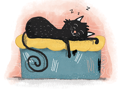 Cat book car for book